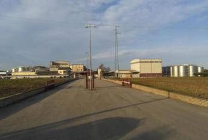 Scerni, dramma nella cantina sociale: giovane operaio muore a 23 anni mentre pulisce le vasche Scerni, dramma nella cantina sociale: giovane operaio muore a 23 anni mentre pulisce le vasche
