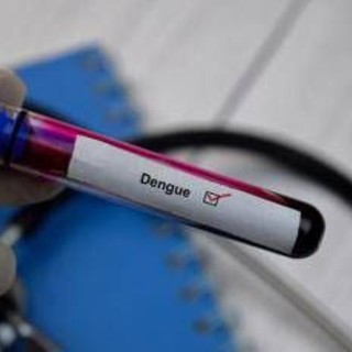 Dengue, salgono ancora i casi in Italia: 96 da inizio anno Dengue, salgono ancora i casi in Italia: 96 da inizio anno