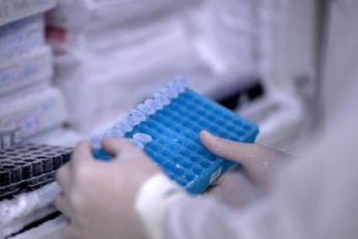 Tumori neuroendocrini pancreatici ed extra-pancreatici avanzati, ok Ema a cabozantinib Tumori neuroendocrini pancreatici ed extra-pancreatici avanzati, ok Ema a cabozantinib