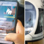 Atm, spuntano chat sessiste degli autisti con foto passeggere. L'azienda: "Faremo luce"