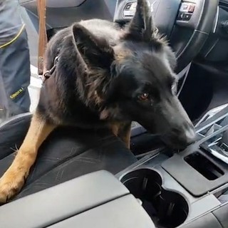 Maxisequestro di 22 Kg di cocaina nel catanese, arrestato 36enne serbo
