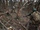 Ucraina: mobilitazione, raid e ruolo della Bielorussia. Mosca prepara nuova escalation? Ucraina: mobilitazione, raid e ruolo della Bielorussia. Mosca prepara nuova escalation?