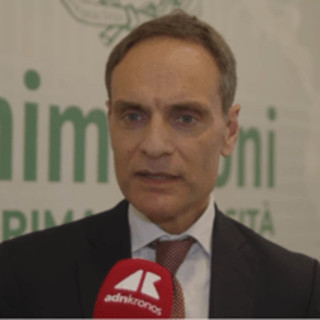 Violenza sulle donne, Urraro: "Prevenzione culturale passo fondamentale per contrastare il fenomeno"