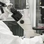 Nuovi virus creati con l'intelligenza artificiale: "E' una svolta per produrre farmaci e terapie" Nuovi virus creati con l'intelligenza artificiale: "E' una svolta per produrre farmaci e terapie"