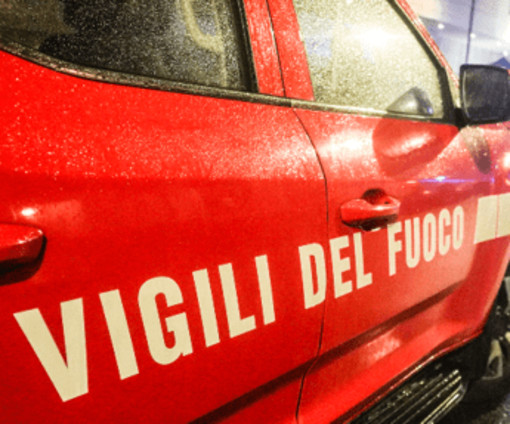 Donna scomparsa a Farneta nel 2012, riaperto il caso: indagato l'ex marito (e frate) Donna scomparsa a Farneta nel 2012, riaperto il caso: indagato l'ex marito (e frate)