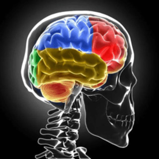 Sclerosi multipla, Bandiera (Aism): "Caregiver fondamentali ma ancora invisibili"