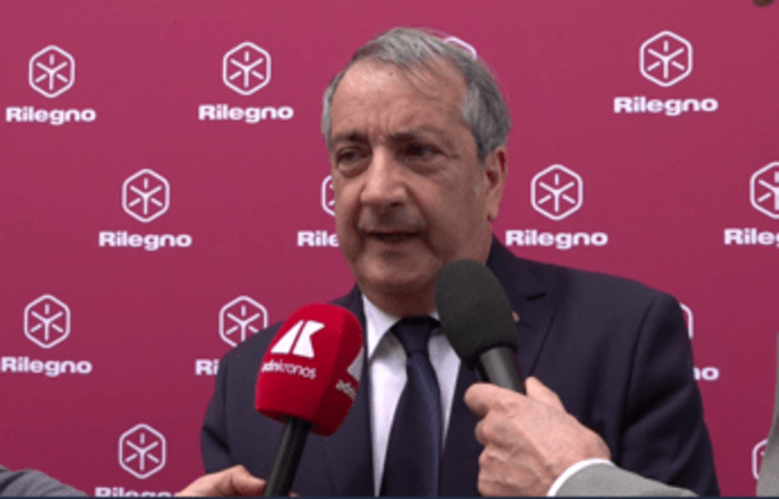 Sostenibilità, Semeraro (Rilegno): "Due milioni di tonnellate di legno raccolte e riciclate ogni anno"