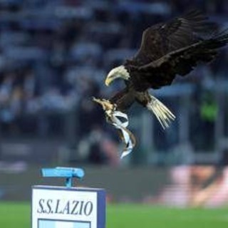 Lazio, debutta all'Olimpico la nuova aquila: primo volo per Flaminia Lazio, debutta all'Olimpico la nuova aquila: primo volo per Flaminia