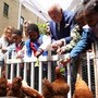 Reali e pollai, Carlo e Meghan: "I know my chickens"