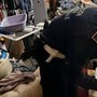 Roma, neonato tra droga e rifiuti: madre denunciata, arrestato il compagno Roma, neonato tra droga e rifiuti: madre denunciata, arrestato il compagno