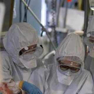 Virus Shamonda, "no casi umani in Italia, attenzione rafforzata": la circolare del ministero dell a Salute Virus Shamonda, "no casi umani in Italia, attenzione rafforzata": la circolare del ministero dell a Salute
