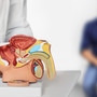 Tumore prostata ad alto rischio recidiva, nuova terapia riduce del 58% rischio morte o metastasi