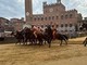 Oca vince il Palio di Siena oggi 3 luglio 2025