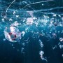 Bimbi in vacanza tra caldo record e punture di zecche e meduse, i consigli dell'esperta: "Ecco quando andare in ospedale"
