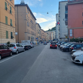 Ztl in via Piacenza, il Municipio prova a cambiare marcia: approvata una mozione per sospenderla senza scadenza o limitarla a due ore